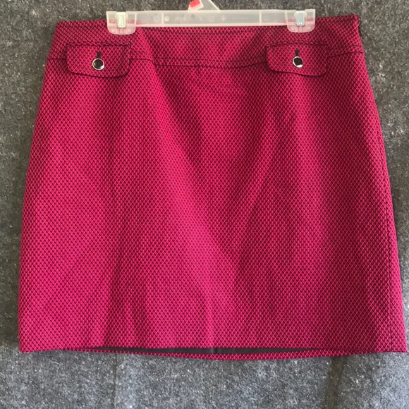 Dresses & Skirts - Ann Taylor Skirt